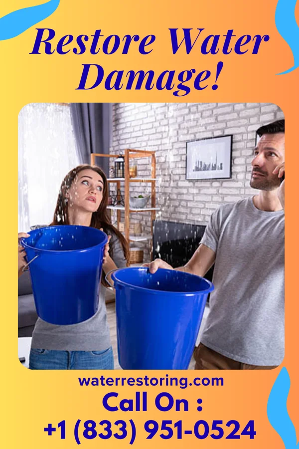 water restoration Imperial Flood Damage LLC Danby